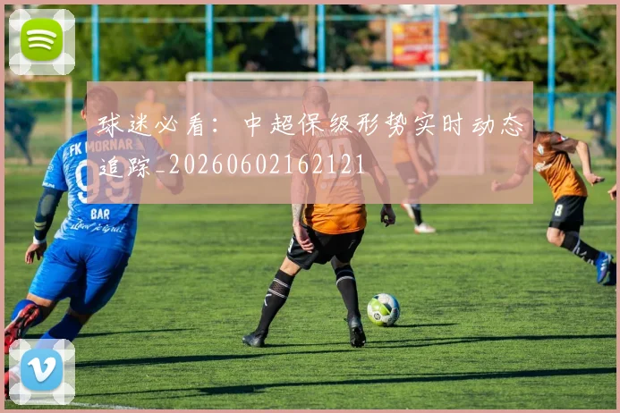 球迷必看：中超保级形势实时动态追踪_20260602162121