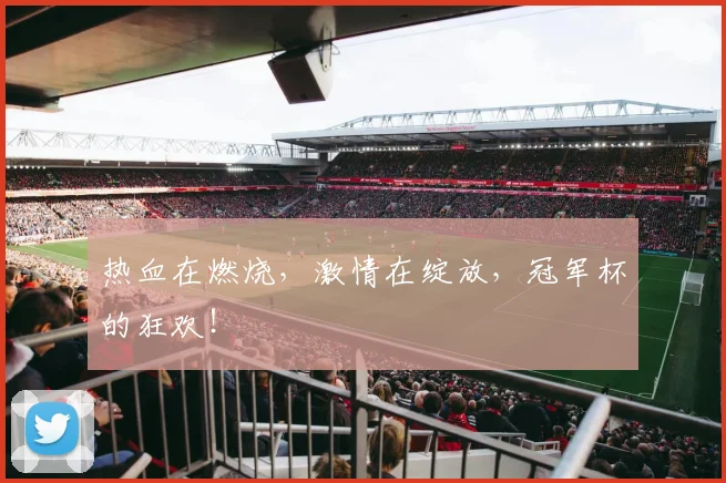 热血在燃烧，激情在绽放，冠军杯的狂欢！